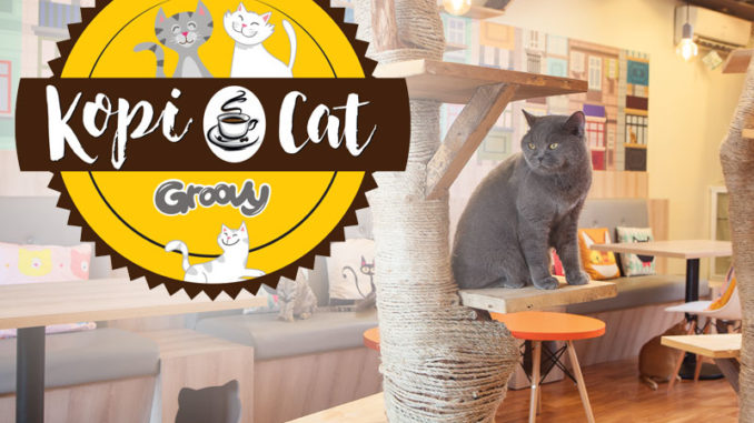 news-kopicat