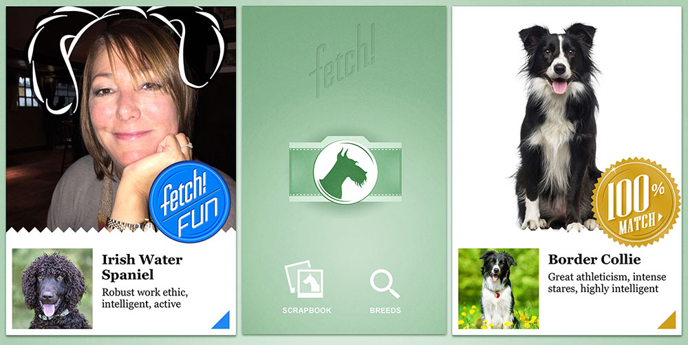 Mirip dengan Anjing Jenis Apakah Kamu? Cek di What-Dog.net!