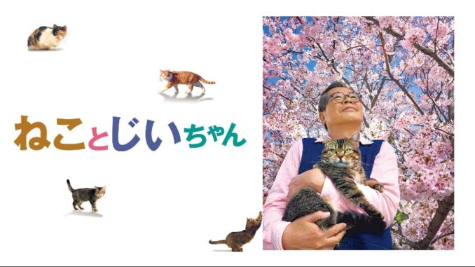 10024906_h_pc_l Bersantai Bersama Kucing di “The Island of Cats” (ULTIMAGZ)