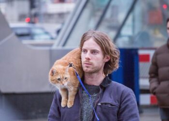James Bowen (Luke Treadaway) dan Bob dalam film A Street Cat Named Bob. (screendaily.com)