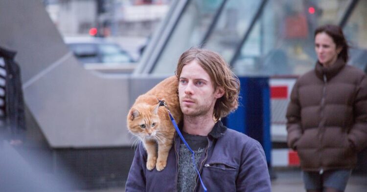 James Bowen (Luke Treadaway) dan Bob dalam film A Street Cat Named Bob. (screendaily.com)