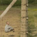 “The Boy in the Striped Pyjamas” Kisahkan Sejarah Jerman yang Kelam (ULTIMAGZ)