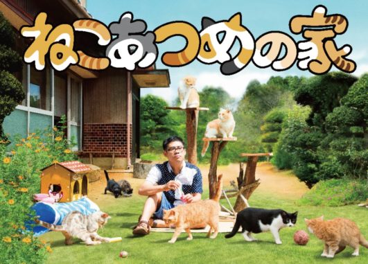 DLQn9hsUIAAYsG3 Neko Atsume House