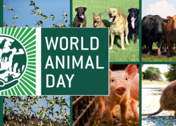 Hari Hewan Sedunia
