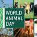 Hari Hewan Sedunia