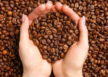 Foto tangan meraup biji kopi