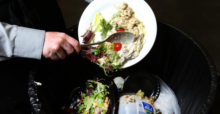Ilustrasi limbah makanan. (Foto: waste4change.com)