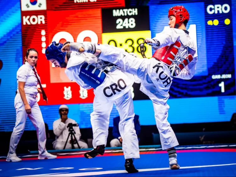 Foto pertandingan Taekwondo, bela diri asal Korea Selatan. (sport.indozone.id)