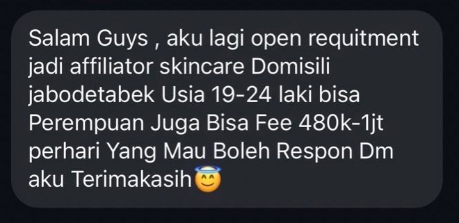 Salah satu pesan penipuan yang ditawarkan melalui DM Instagram. (Dok. Istimewa)