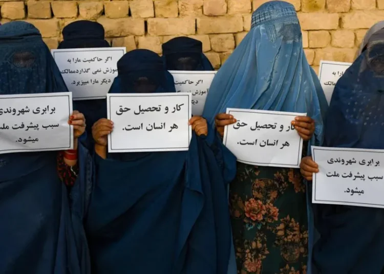 taliban