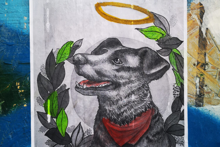 Negro Matapacos, anjing legendaris simbol perlawanan di Chile. (workingclasshistory.com)