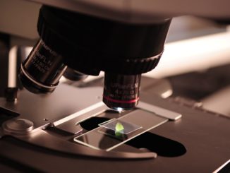 Ilustrasi penemuan sains. (Foto: pexels.com)