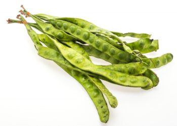 Foto petai, makanan dengan bau menyengat. (Freepik/Mrsiraphol)