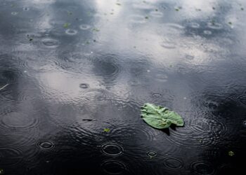 Petrichor, aroma khas air hujan. (freepik/wirestock)