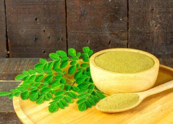 Ilustrasi daun kelor. (freepik/ninetechno)