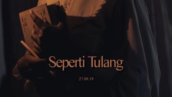 nadin-seperti-tulang