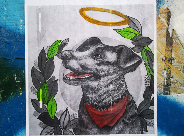 Negro Matapacos, anjing legendaris simbol perlawanan di Chile. (workingclasshistory.com)