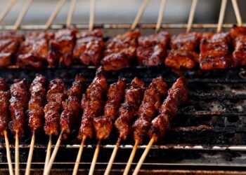 Ilustrasi tusuk sate. (Pixabay/Hartono Subagio)