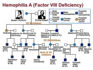 Silsilah penyakit hemofilia dalam keluarga kerajaan Ratu Victoria. (Foto: tribunnews.com)