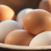 Ilustrasi dari telur
