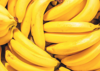 ilustrasi buah pisang