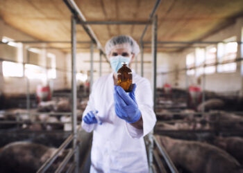 Laki-laki memegang botol berisi minyak yang didapat dari lemak hewan.